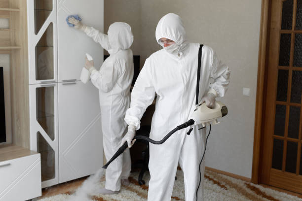 Best Commercial Mold Remediation in Ridgeway, AK